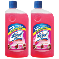 Lizol Disinfectant Surface & Floor Cleaner Liquid, Floral, 625 ml each (Pack of 2)
